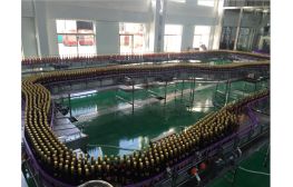 【專業(yè)酒水類流水線供應商】供應扁瓶輸瓶機,空瓶輸送流水線